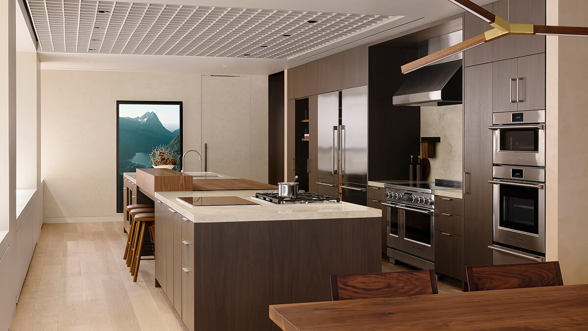 The professional kitchen